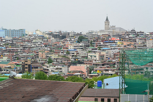resize0010 写真: resize0010