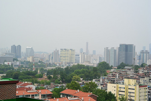 resize0012 写真: resize0012
