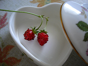 20080720_05