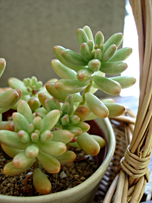 20080813_04