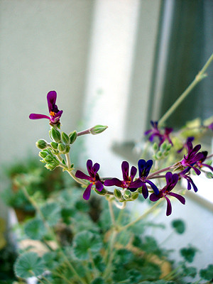 20080824_01