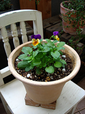 DSC06948