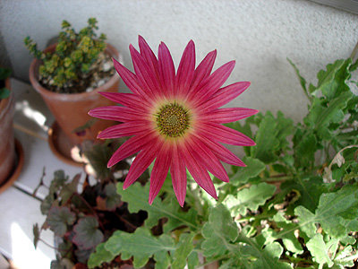 DSC07158