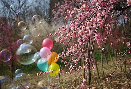 IMGP3988_0309