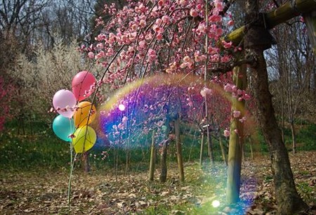 IMGP4043_0309