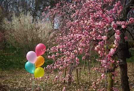 IMGP4058_0309