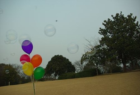 IMGP8208_0316