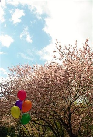 IMGP8518_0321