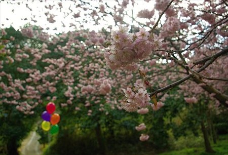 IMGP8579_0321