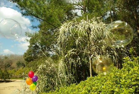 IMGP9168_0322