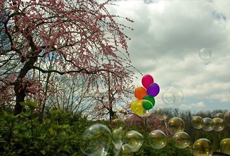 IMGP9264_0322