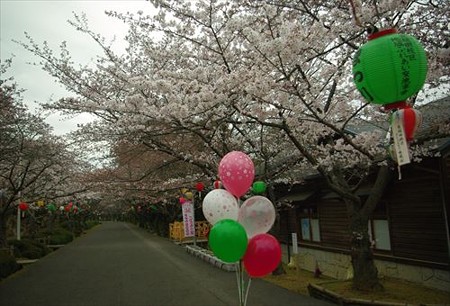 IMGP0164_0329