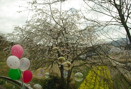 IMGP0483_0329