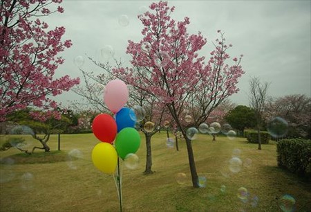 IMGP1270_0329