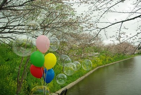 IMGP1478_0330