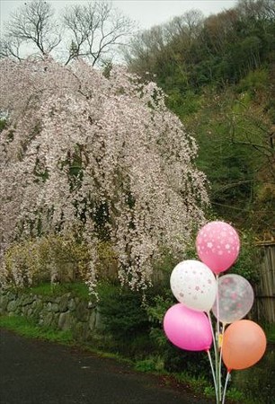 IMGP2571_0406