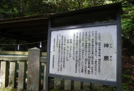 IMGP5287_0518
