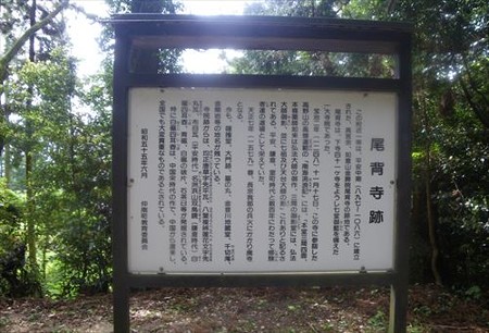 IMGP5290_0518