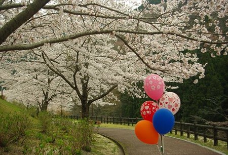 IMGP3308_0412