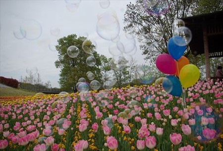 IMGP0124_0420