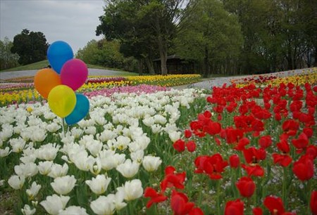 IMGP0288_0420