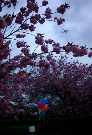 IMGP0067_0420
