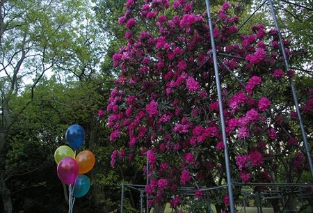 IMGP2331_0425