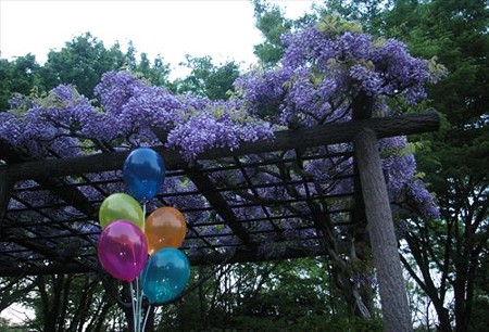 IMGP2359_0425