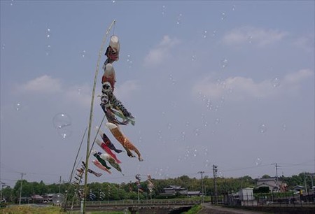 IMGP5133_0503