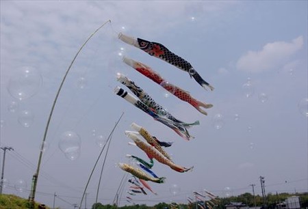 IMGP5195_0503
