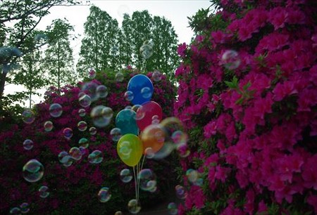 IMGP4789_0503