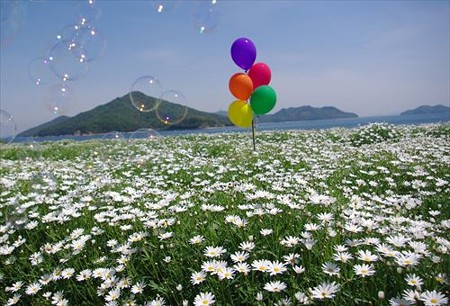 IMGP5021_0504