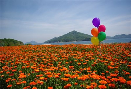 IMGP4960_0504