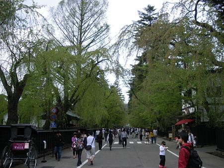 角館の桜通り