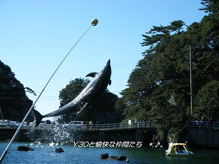 DSCF2404_pa