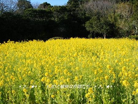 DSCF2453_pa