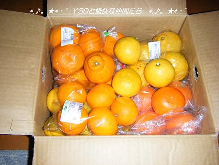 DSCF2665_pa