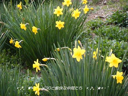 DSCF2753_pa