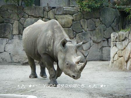 DSCF2876_pa