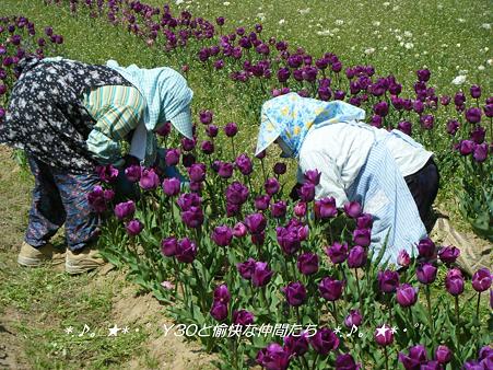 DSCF8094_pa