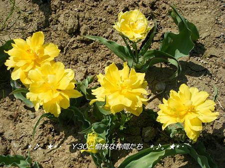 DSCF8059_pa