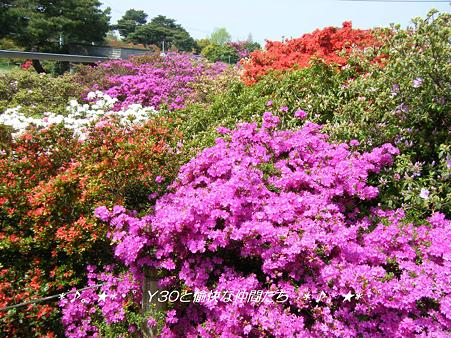 DSCF8260_pa