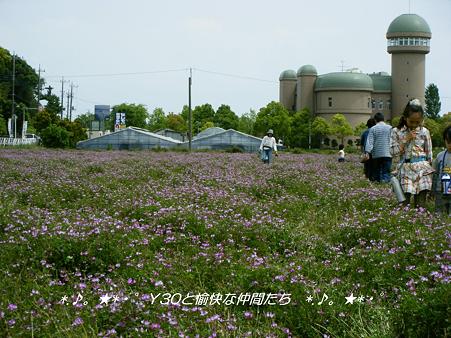 DSCF8366_pa