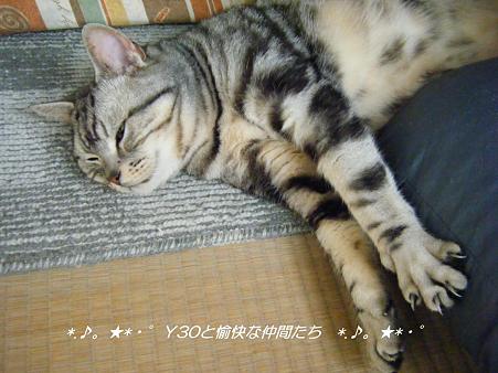 DSCF8351_pa