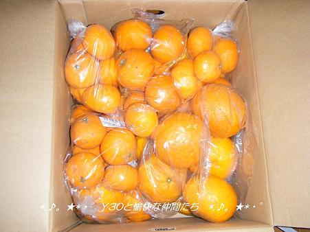 DSCF8421_pa