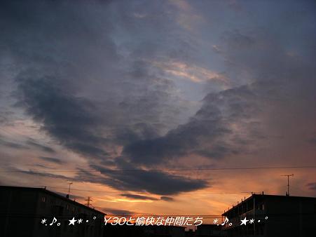 DSCF8455_pa