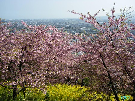 DSCF6292_P