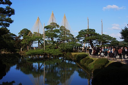 唐崎の松　雪つり　３本だけ完成　兼六園