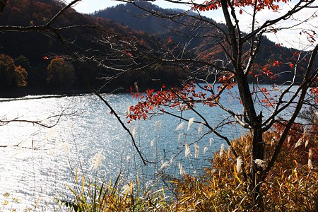 晩秋の九頭竜湖(2)