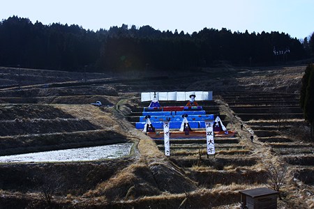 棚田のひな壇